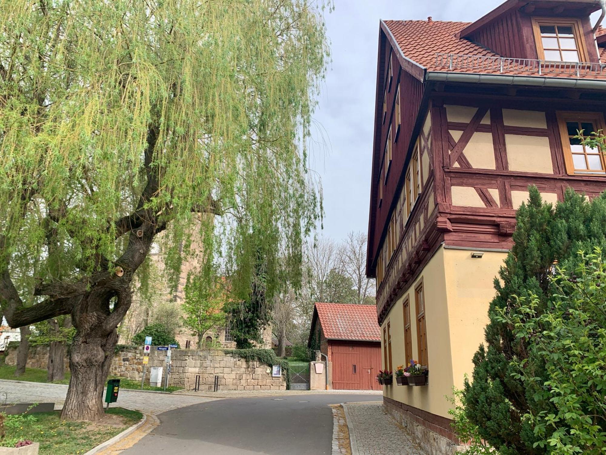 Landhotel Ruhepol - Garni Arnstadt Exterior foto